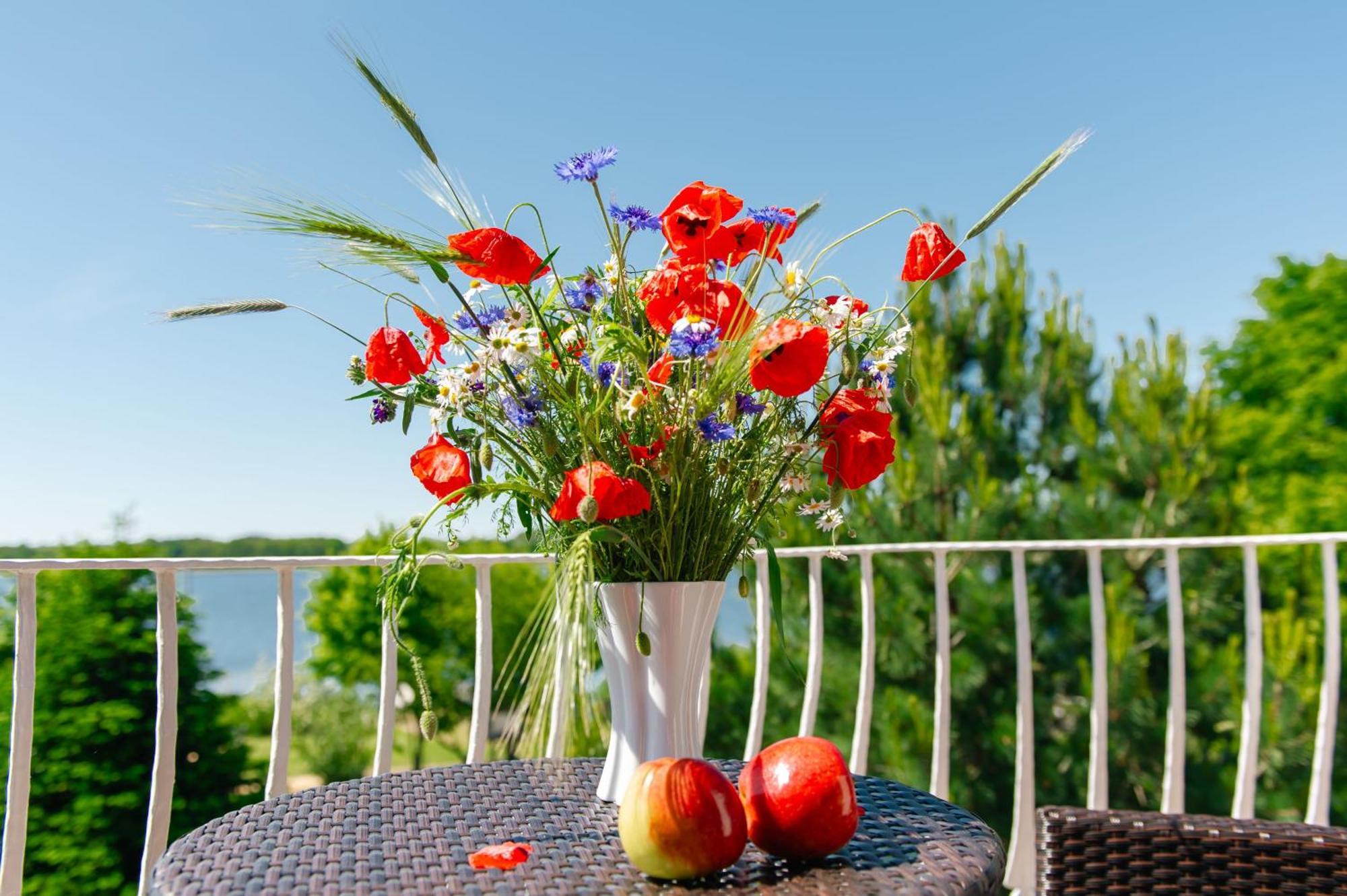 Selliner Ferienappartements Mit Balkon Und Seeblick Экстерьер фото